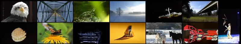 Fotoimpressionen Wolfgang Orth
